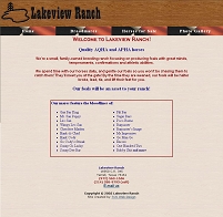 Web Design For Lakeview Ranch